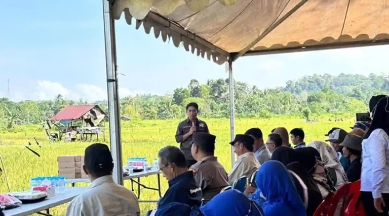 Pupuk NPK Sulit Didapat, DPRD Nunukan Soroti Anggaran Penanganan Hama Padi
