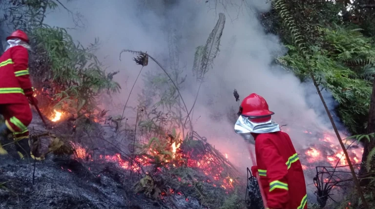 Api Belum Padam di Hutan Liagu, Relawan Berjuang dengan Peralatan Terbatas